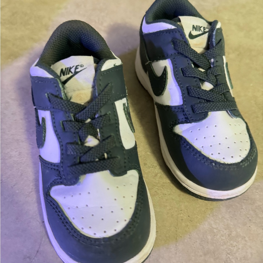 Toddler Nike Dunks - Size 8C